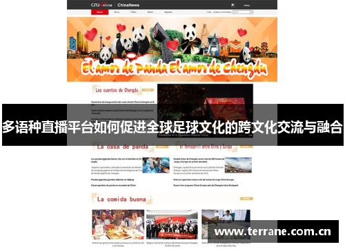 多语种直播平台如何促进全球足球文化的跨文化交流与融合
